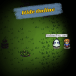 Hide Online